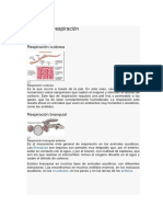 Formas de Respiración