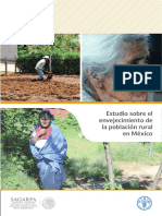 2 Estudio sobre el envejecimiento de la población rural en México.pdf