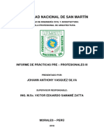 Informe Final de Practicas P-p III - UNSM-TARAPOTO