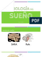 Fisiología Del Sueño