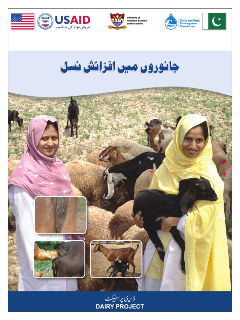 University of Veterinary & Animal Sciences Lahore PDF