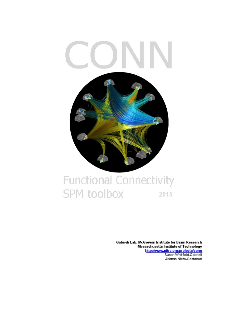 CONN Toolbox: Functional Connectivity Guide | PDF | Matlab | Dependent ...