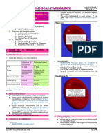  Basic Hematologic Tests and Erythrocytic Disorders Anemia 