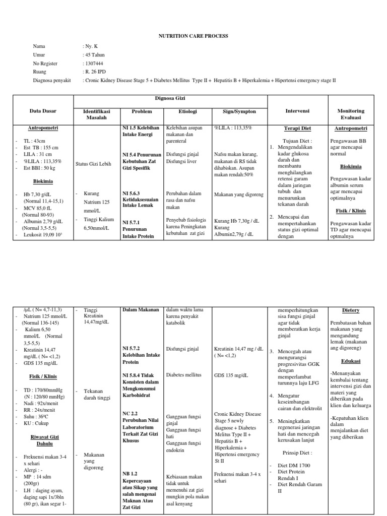 Food Nutrition Care Process Pdf