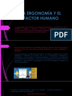 La Ergonomía y El Factor Humano