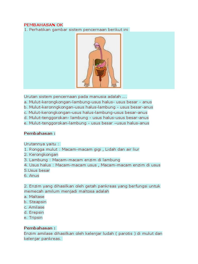 Soal Sistem Pencernaan