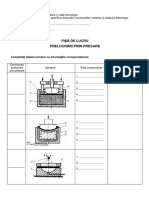 Fisa Lucru Ambutisarea Xi Prof