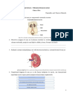 Bio Rosescu Marinela Fisa de Lucru Cls. A Xi A Elevi