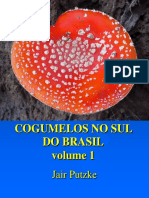 Cogumelos No Sul Do Brasil. v. 1 - Jair Putzke 