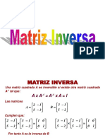 Matriz Inversa Gauss 217