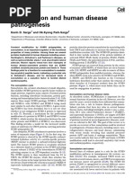 Sumoylation and Human Disease Pathogenesis: Kevin D. Sarge and Ok-Kyong Park-Sarge