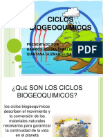 Ciclos Biogeoquimicos