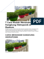 7 Cara Mudah Menanam Kangkung Hidroponik Di Baskom