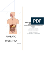 Resumen Aparato Digestivo