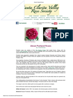 About Portland Roses: Our Facebook Our Videos