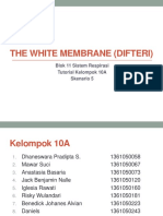 ppt_Blok_11_Respiratory_-_Penyakit_Difte.pptx