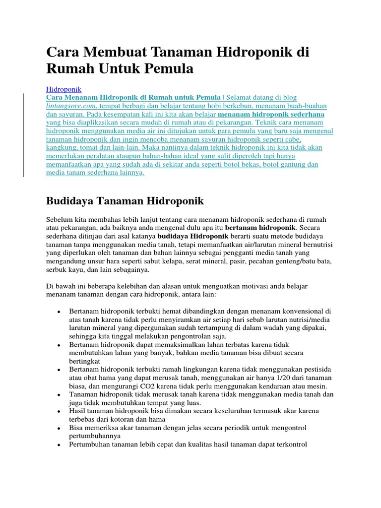 Cara Membuat Tanaman iHidroponiki Di Rumah iUntuki iPemulai Cara Membuat Tanaman iHidroponiki Di Rumah iUntuki iPemulai