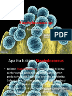 Staphylococcus sp materi kesling tk 2 pert ke 14.pptx