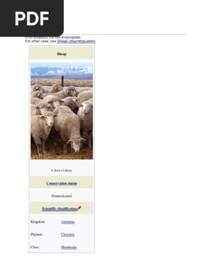 Sheep