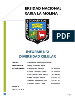 Informe 2 Biocel