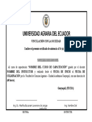 Formato Certificado Curso Capacitacion | PDF