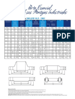 Bridas300.pdf