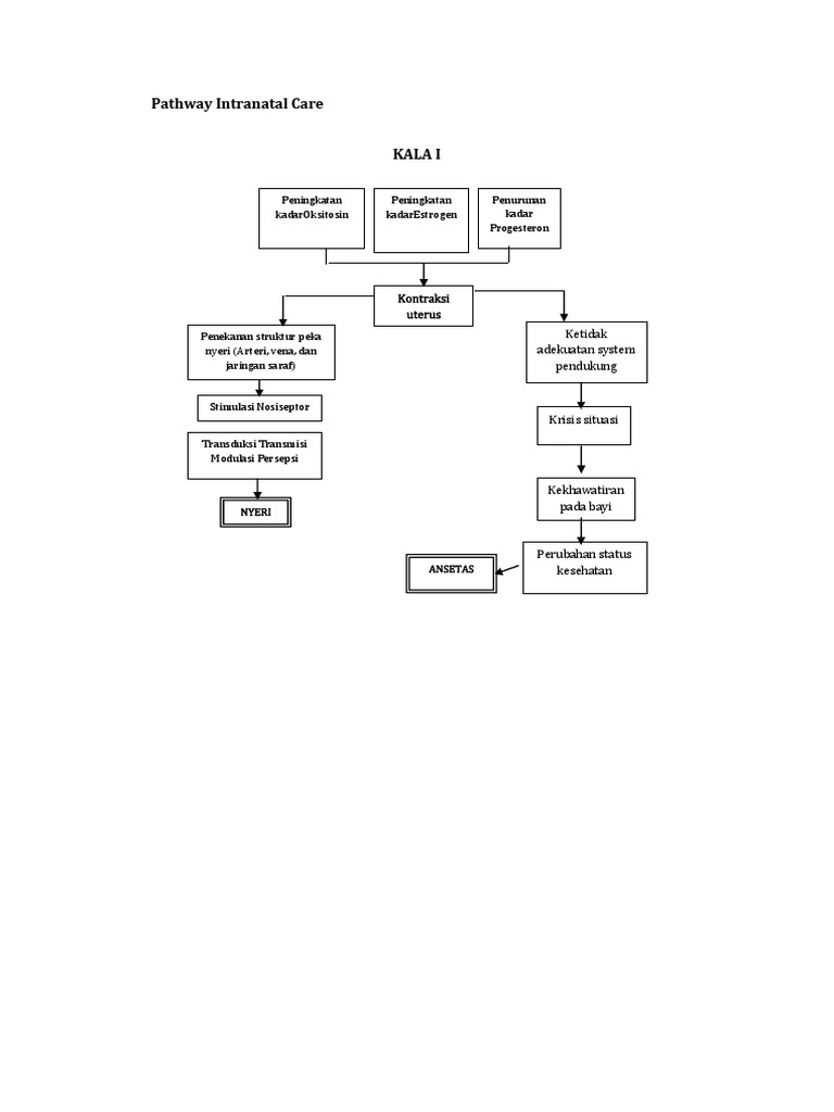 Pathway Perawatan Intranatal Kelahiran | PDF