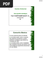 Gestão Ambiental - uma questão estratégica