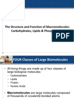 Structure & Function of Macromolecules: Carbs, Lipids & Phospholipids