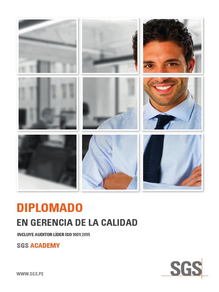 ARTICULO - Diplomado en Gerencia de La Calidad SGS | PDF | Calidad ...