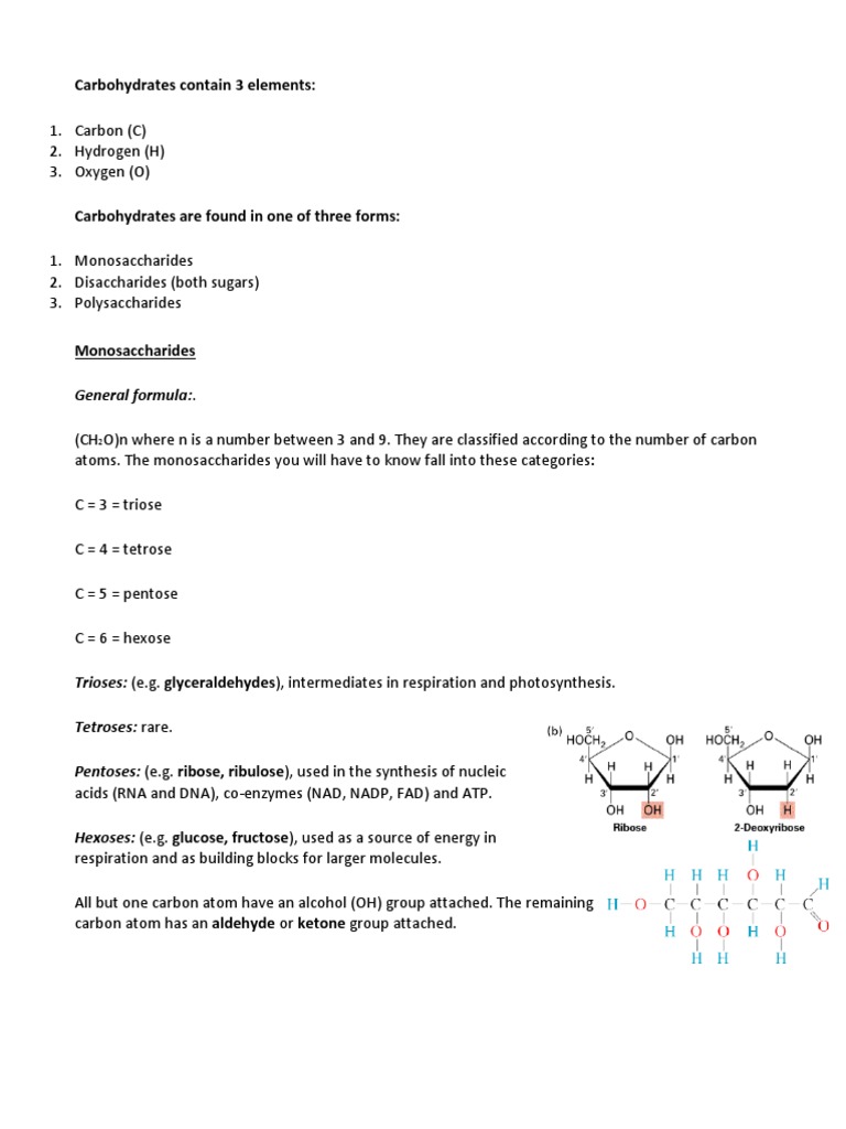 Biological Molecules and Enzymes PDF Active Site Enzyme