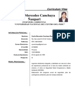 Cv. Cyntia Canchaya (Seguridad)