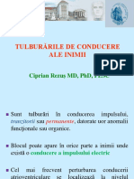 Tulb de Conducere PDF