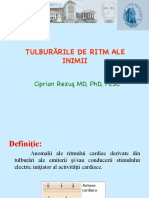 Tulb de Ritm PDF