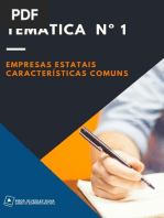 Empresas Estatais – Características Comuns (2)