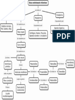 Mapa Conceptual Embriología Del Sistema Nervioso 1