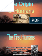 Origin of Humans