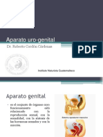 Genito Urinario (Ok)