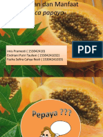 Kandungan Dan Manfaat Carica Papaya