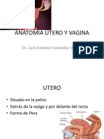 Anatomia Utero y Vagina