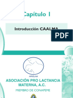 1_Introduccion CAALMA.pdf