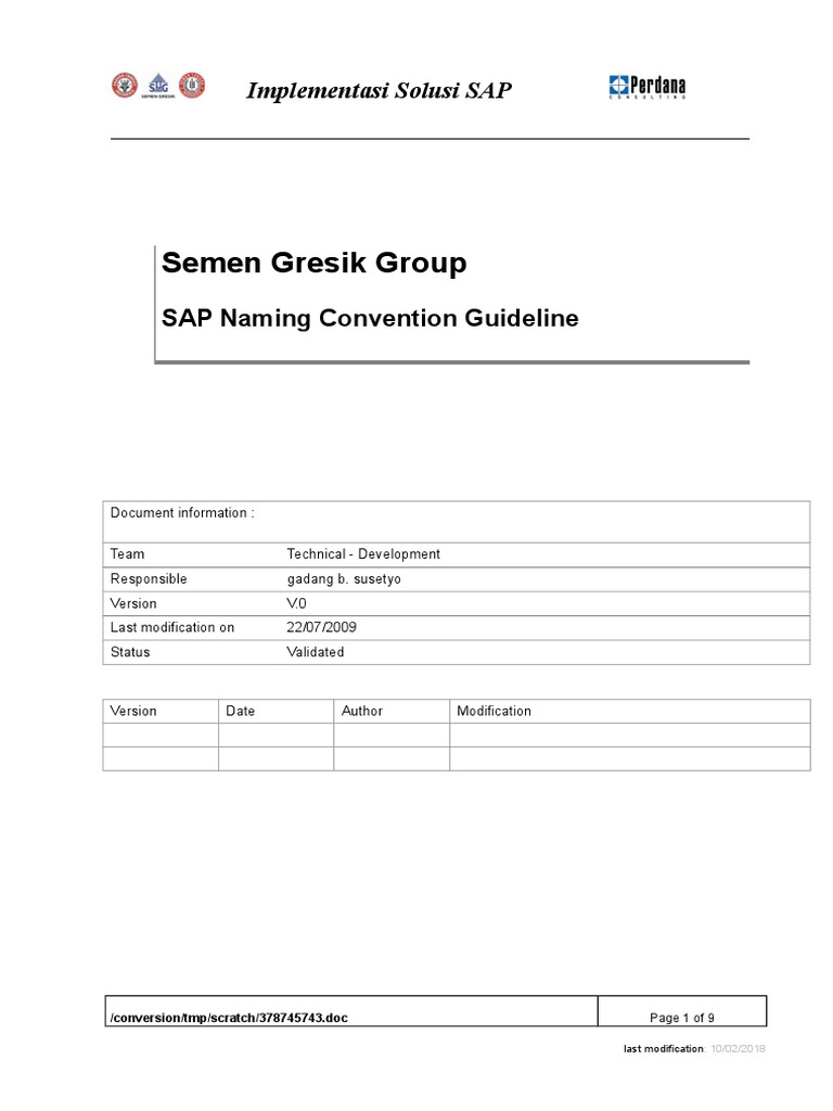 SAP FUNCTION GROUP NAMING CONVENTION visual data 7