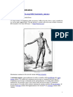 AnatomiaUmana.it.Wikipedia.org