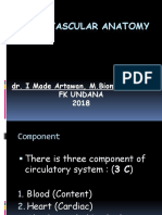 Cardiovascular Anatomy - IMA2018