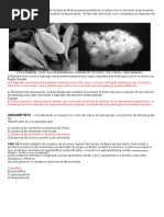 Taxonomia Vegetal Questões Com Gabarito