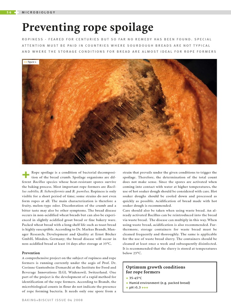 Preventing Rope Spoilage in Bread | PDF | Sourdough | Breads