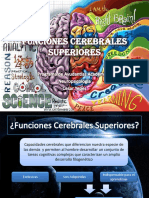 Funciones Cerebrales Superiores