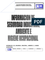 2informacion de Seguridad, Ambiente e Higiene Ocupacional Paseo La Castellana
