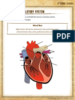 Label The Circulatory System