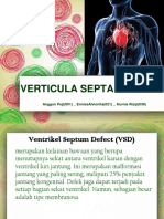 Verticula Septal Defect: Anggun Puji (001) - Ennisaalvionita (021) - Kurnia Rizqi